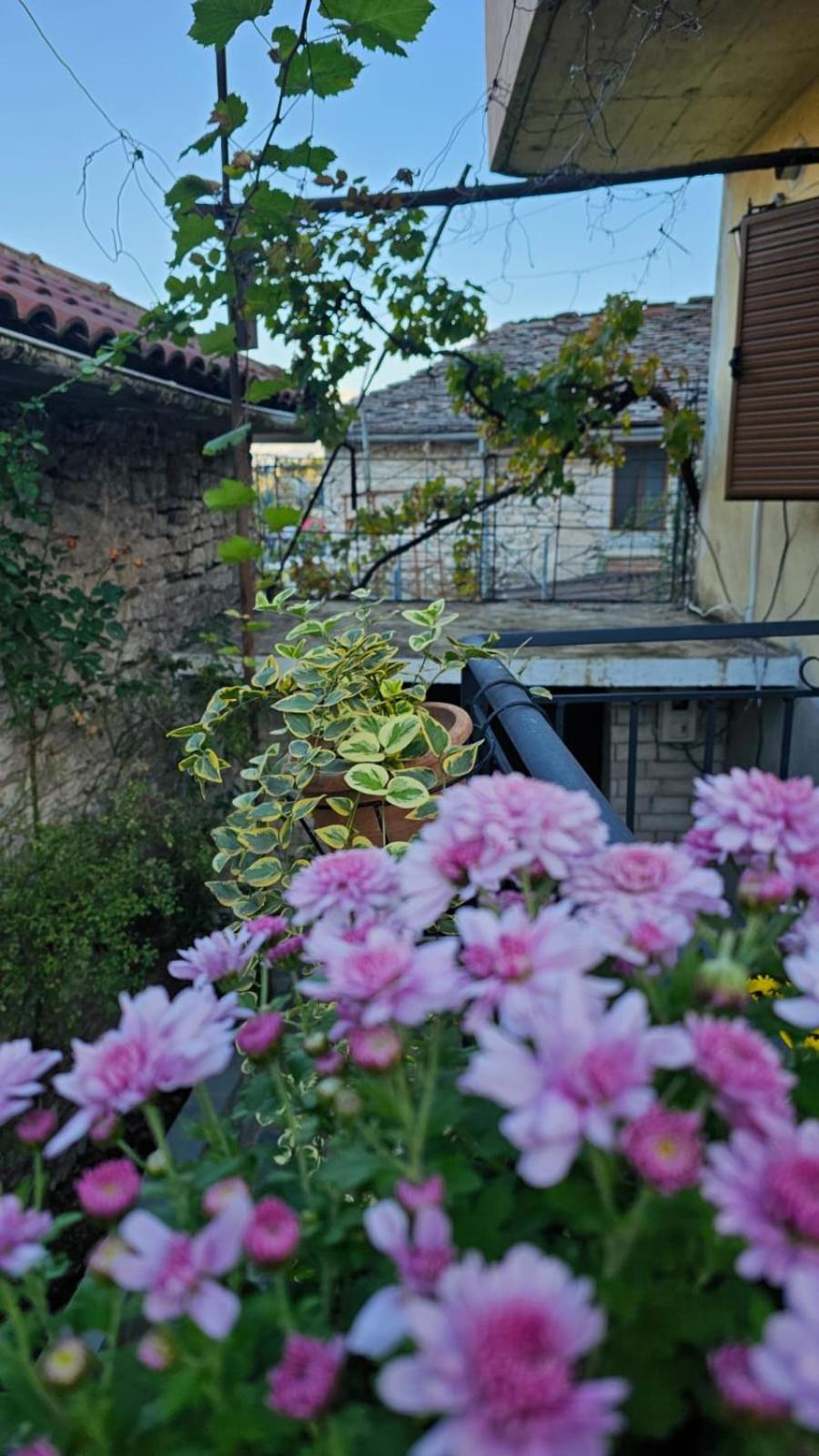 Luigi Guest House Гірокастра Екстер'єр фото